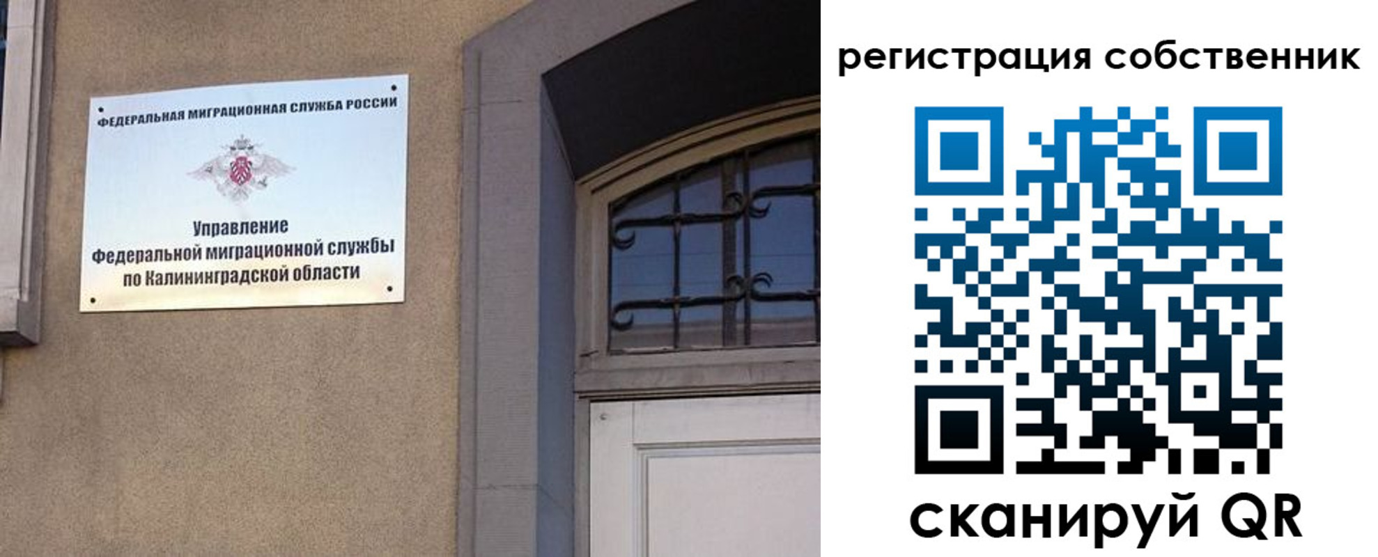 прописка паспорт в Лисках
